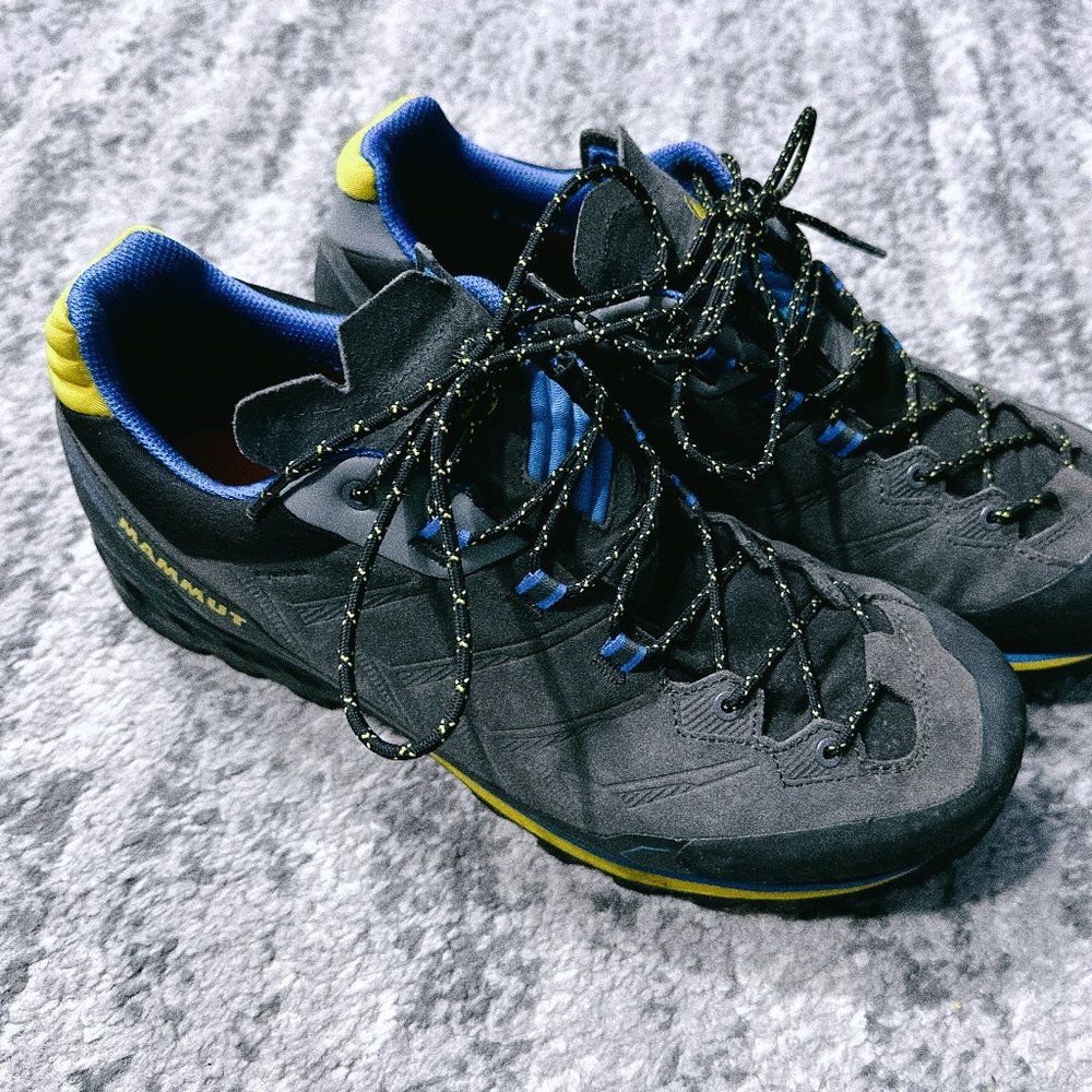 Mammut Men's Kento Low GTX Waterproof shoes (Size 11.5)